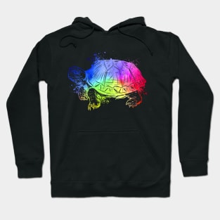 Colorful turtle Hoodie